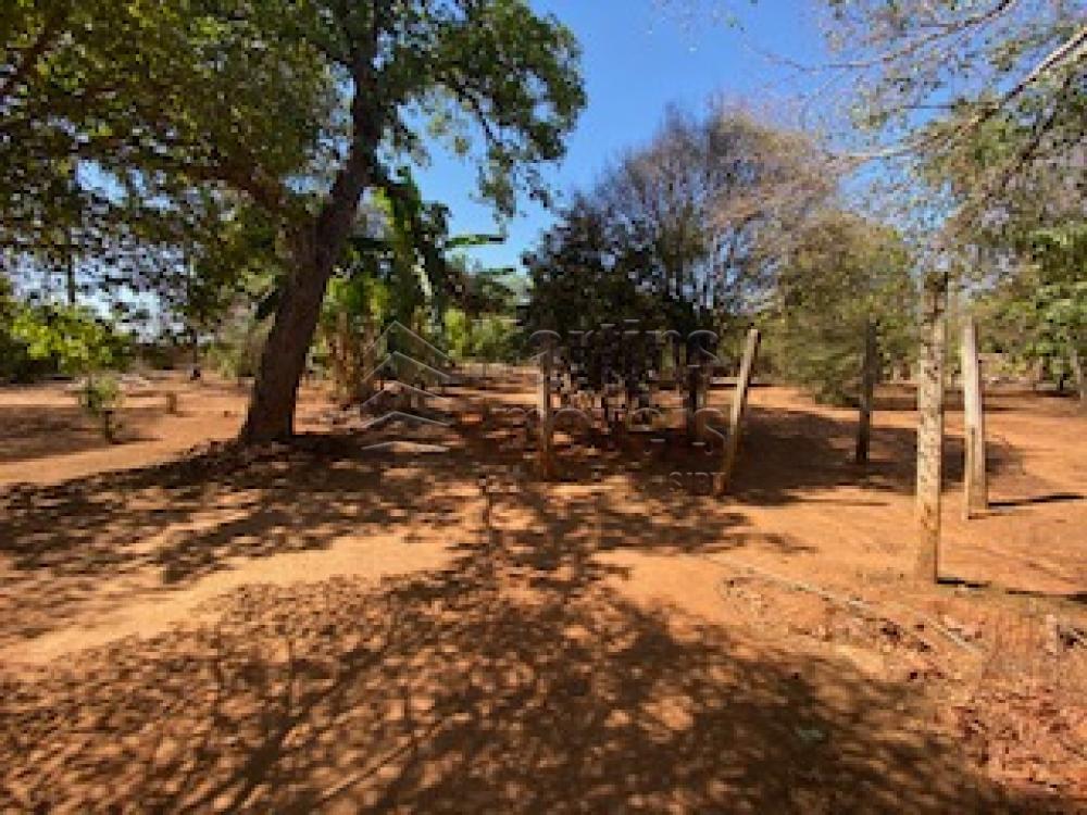 Comprar Terreno / Glebas/Áreas grandes em São João da Boa Vista - Foto 2