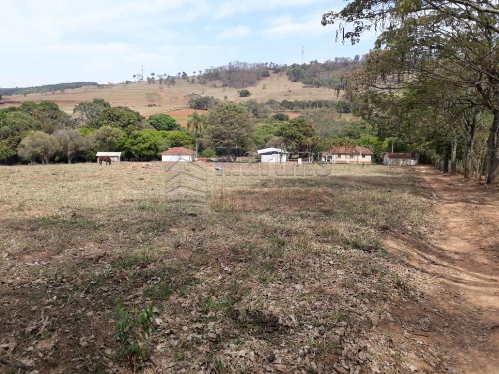 Comprar Rural / Sítio em São João da Boa Vista R$ 650.000,00 - Foto 2
