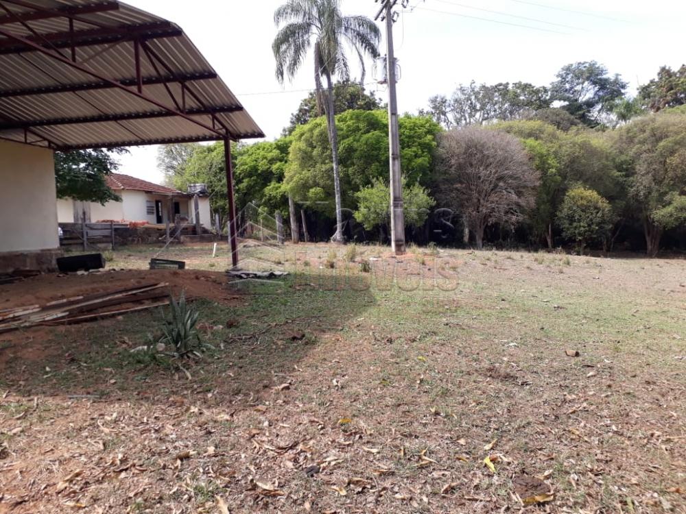 Comprar Rural / Sítio em São João da Boa Vista R$ 650.000,00 - Foto 4