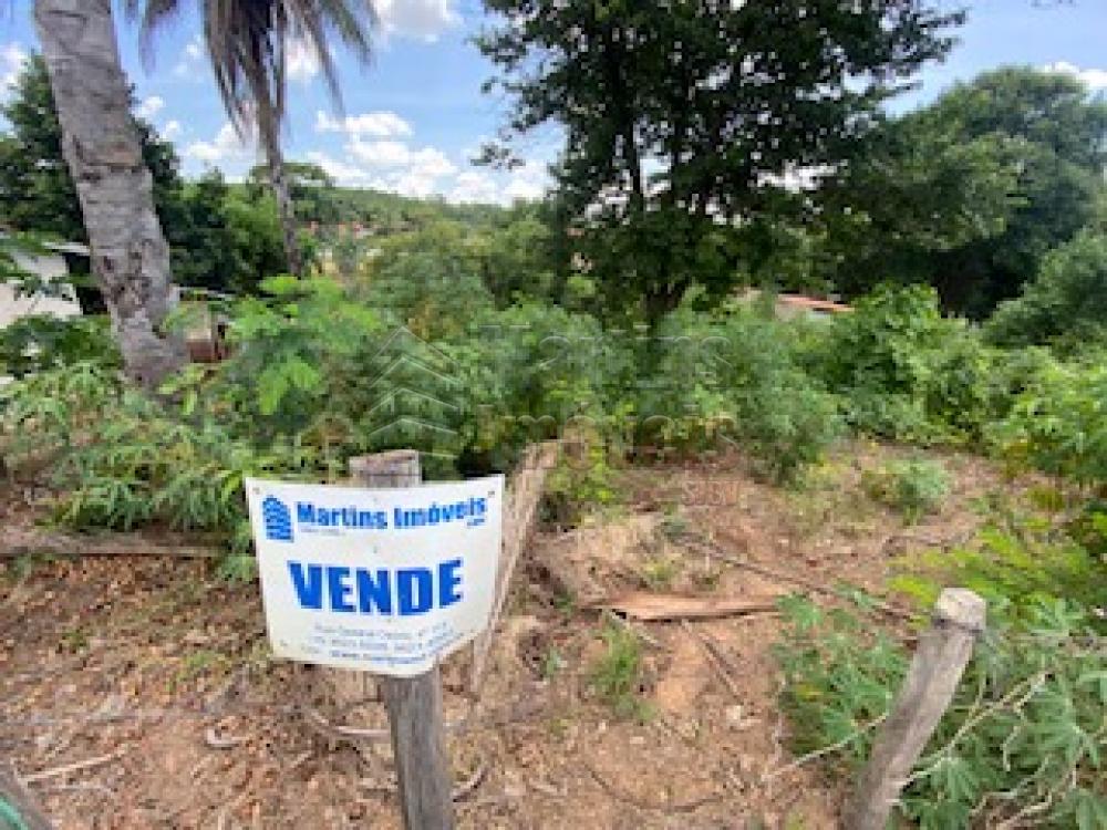 Comprar Terreno / Padrão em São João da Boa Vista R$ 230.000,00 - Foto 2