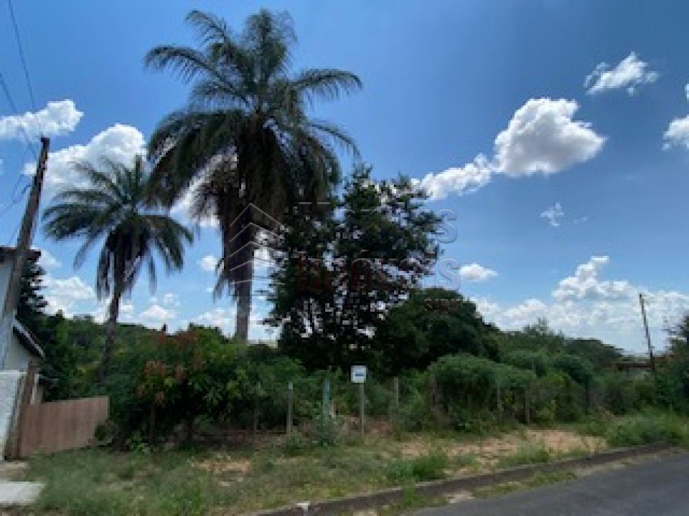 Comprar Terreno / Padrão em São João da Boa Vista R$ 230.000,00 - Foto 3