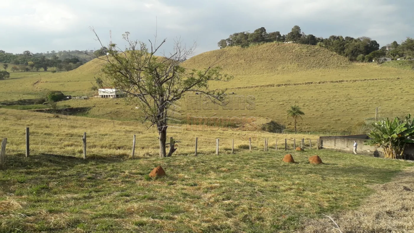 Comprar Terreno / Padrão em Águas da Prata R$ 165.000,00 - Foto 2