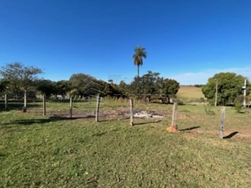 Comprar Rural / Sítio em São João da Boa Vista R$ 1.200.000,00 - Foto 3