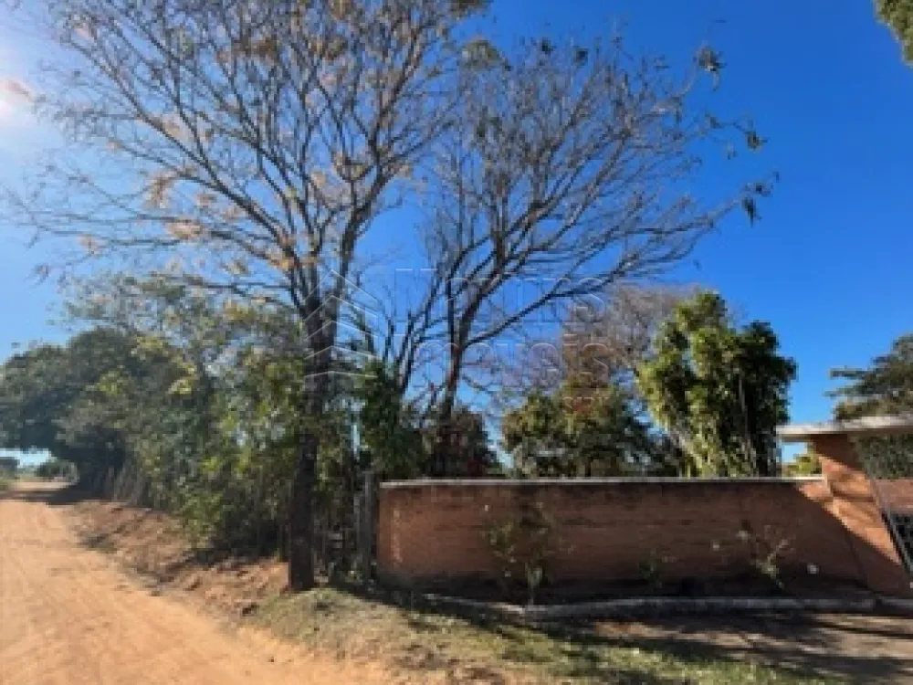 Comprar Rural / Sítio em São João da Boa Vista R$ 1.200.000,00 - Foto 12