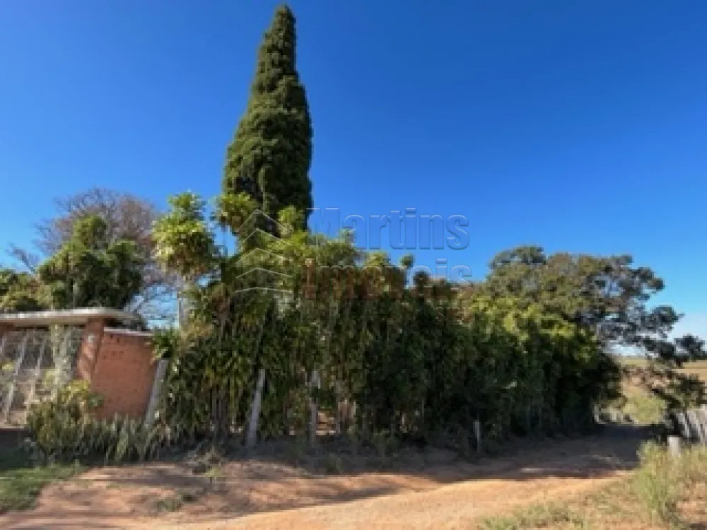 Comprar Rural / Sítio em São João da Boa Vista R$ 1.200.000,00 - Foto 13