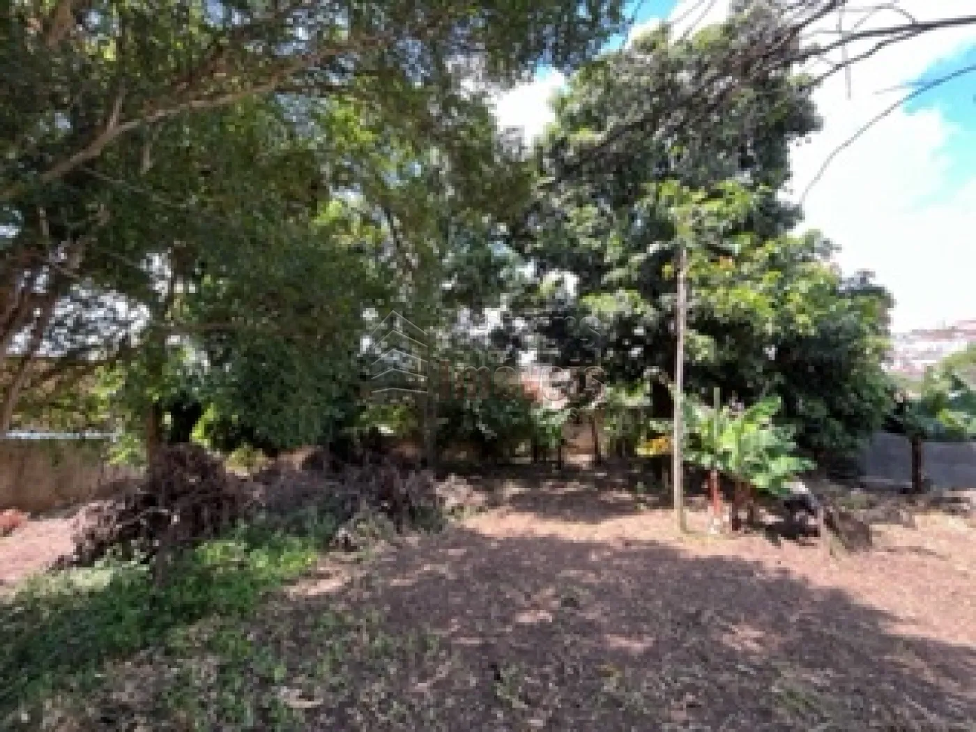 Comprar Terreno / Padrão em São João da Boa Vista R$ 200.000,00 - Foto 5