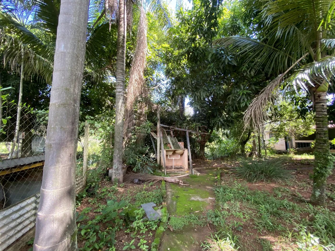 Comprar Chacara / Urbana em São João da Boa Vista R$ 1.600.000,00 - Foto 17