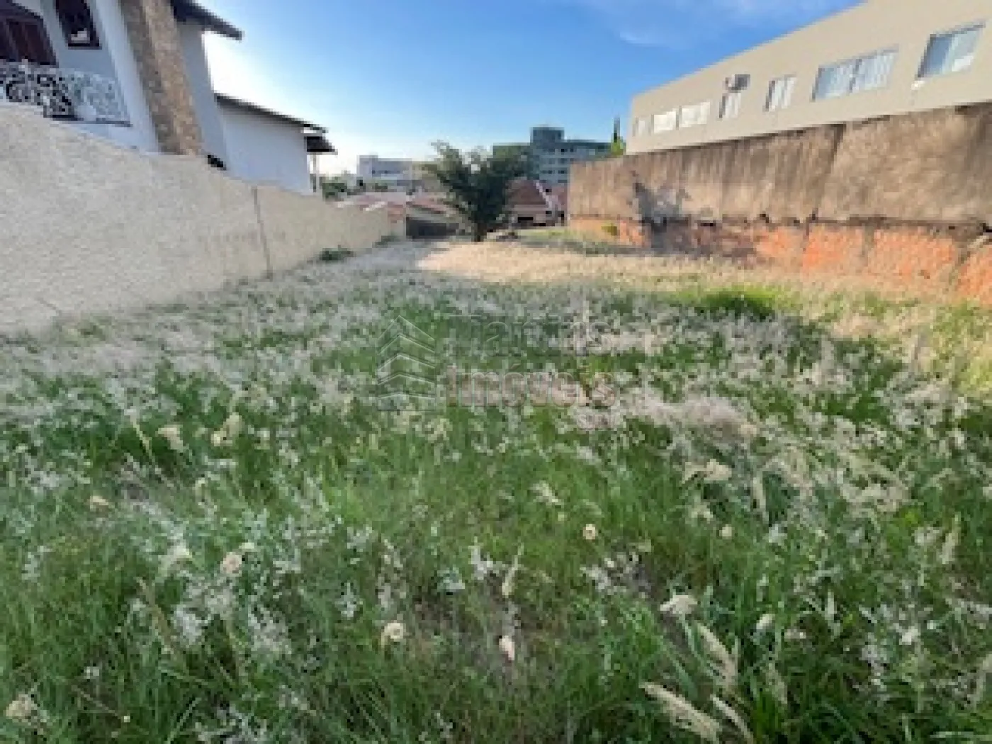 Comprar Terreno / Padrão em São João da Boa Vista R$ 500.000,00 - Foto 1