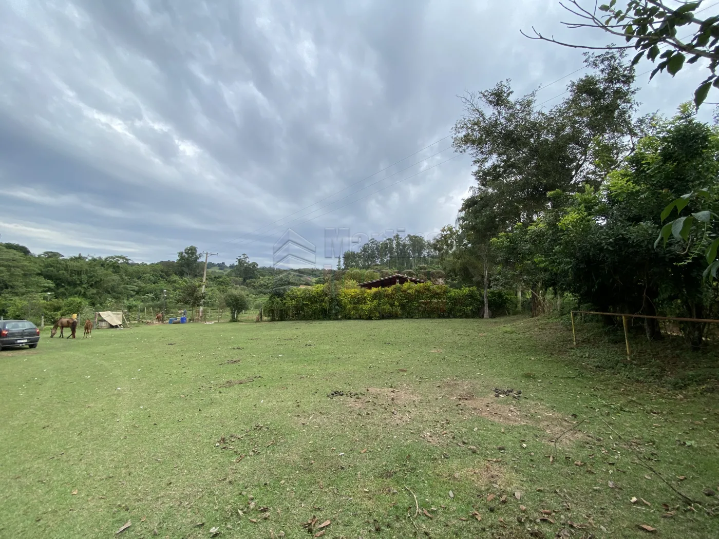 Comprar Rural / Sítio em São João da Boa Vista R$ 950.000,00 - Foto 2