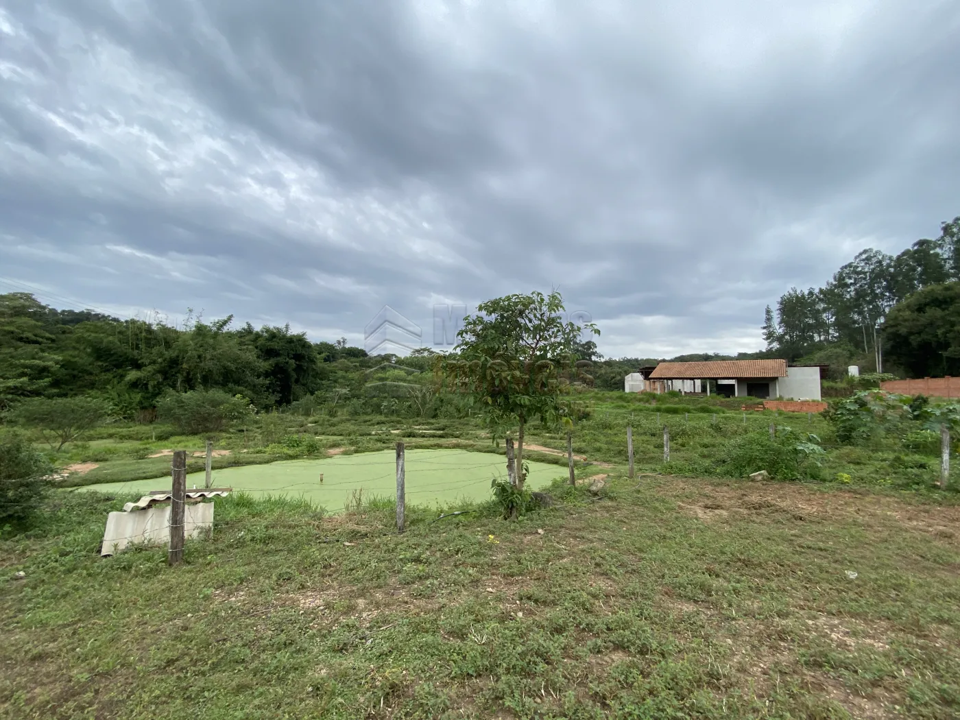 Comprar Rural / Sítio em São João da Boa Vista R$ 950.000,00 - Foto 14