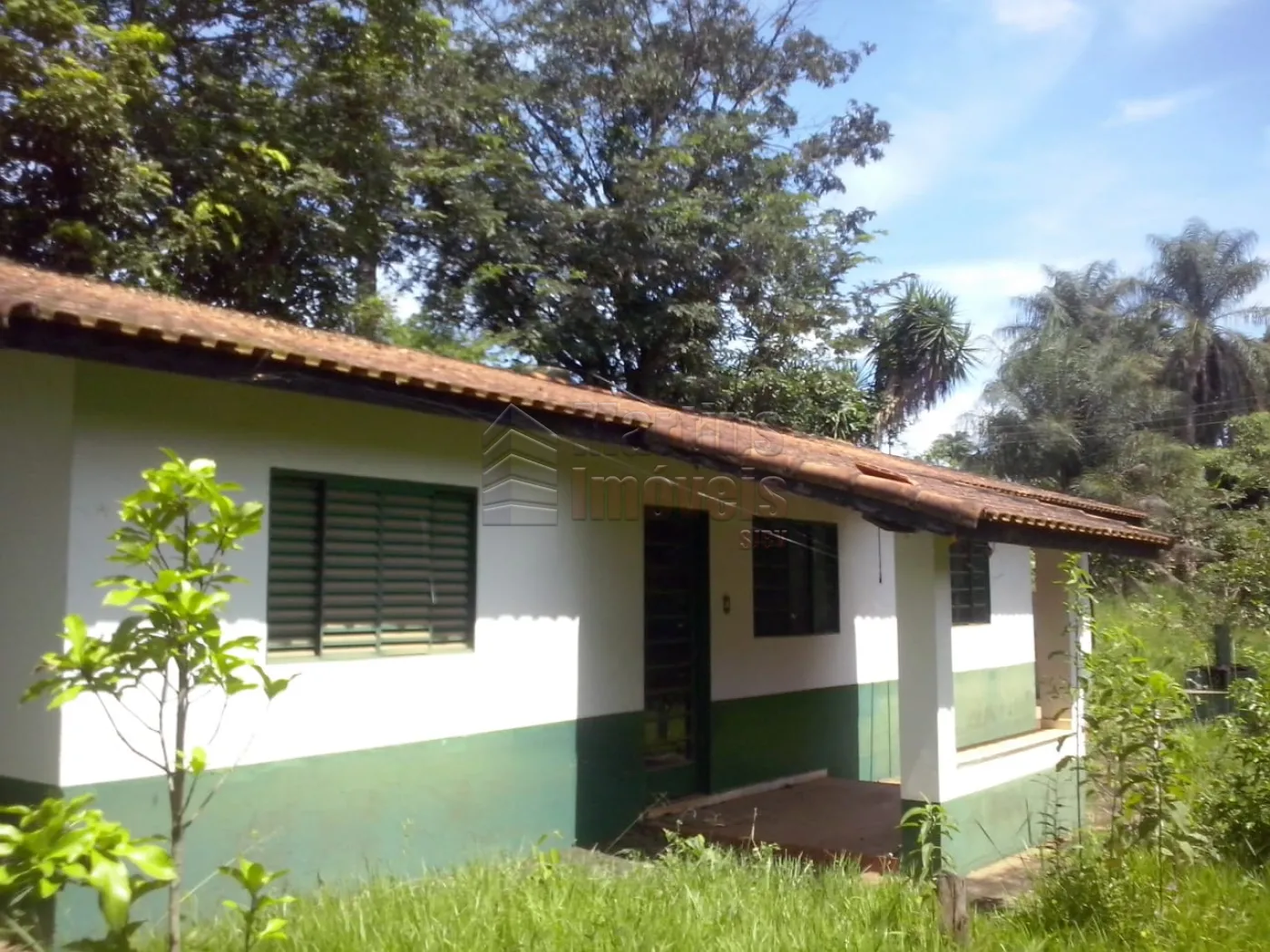 Comprar Rural / Sítio em São João da Boa Vista R$ 650.000,00 - Foto 5