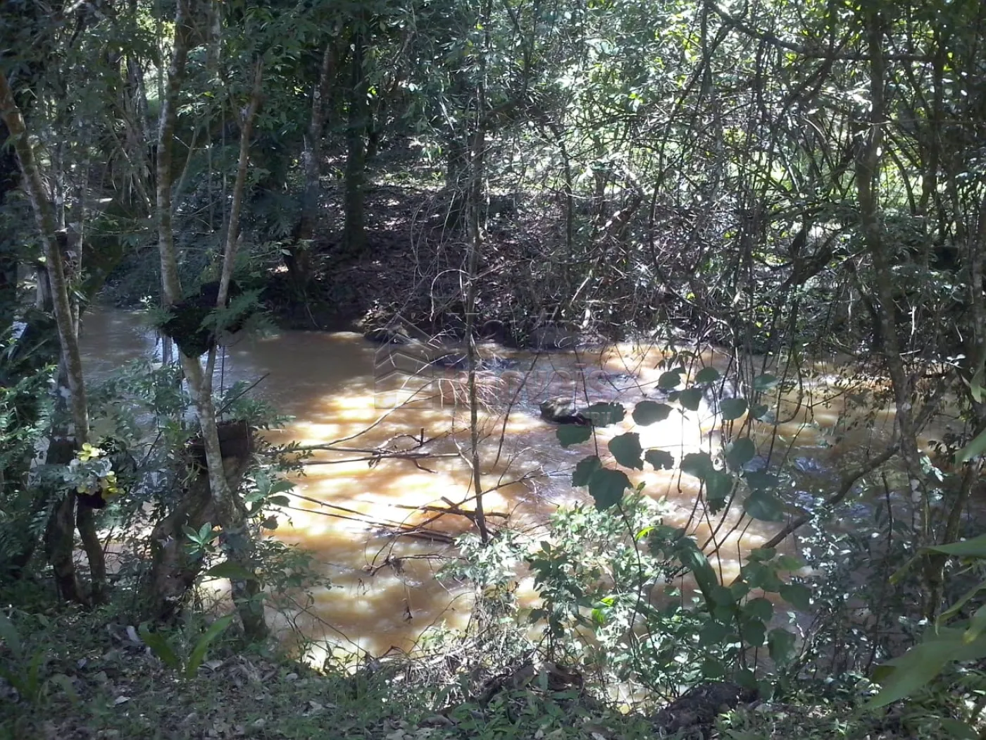 Comprar Rural / Sítio em São João da Boa Vista R$ 650.000,00 - Foto 3