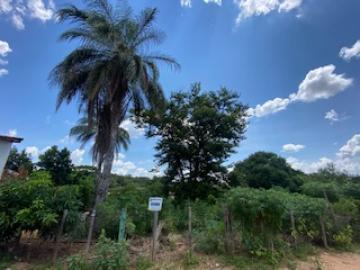 Terreno / Padrão em São João da Boa Vista 