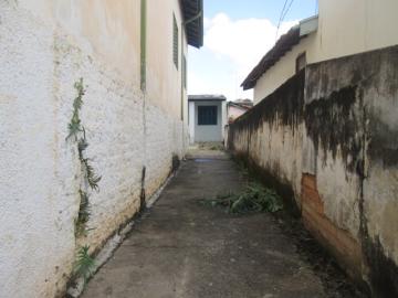 Alugar Casa / Padrão em São João da Boa Vista R$ 500,00 - Foto 2