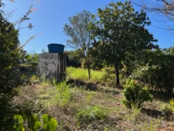 Comprar Rural / Sítio em São João da Boa Vista R$ 1.200.000,00 - Foto 6