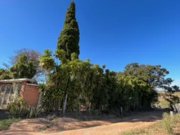 Comprar Rural / Sítio em São João da Boa Vista R$ 1.200.000,00 - Foto 13