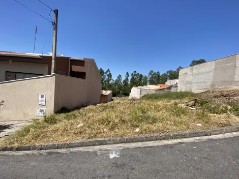 Terreno / Padrão em São João da Boa Vista 