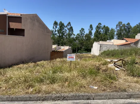 Comprar Terreno / Padrão em São João da Boa Vista R$ 120.000,00 - Foto 3