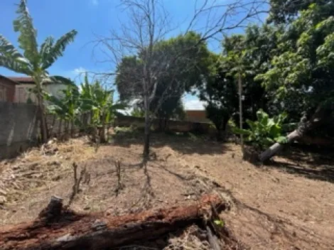 Comprar Terreno / Padrão em São João da Boa Vista R$ 200.000,00 - Foto 4