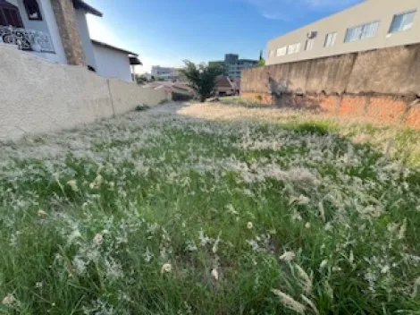 Terreno / Padrão em São João da Boa Vista 