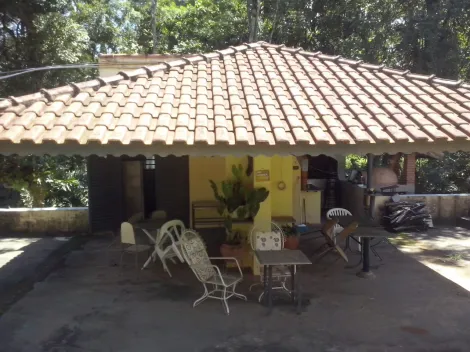 Comprar Rural / Sítio em São João da Boa Vista R$ 650.000,00 - Foto 2