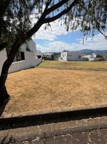 imagem 2 - Terreno - Condomínio Fechado imagem 2 - Terreno - Condomínio Fechado