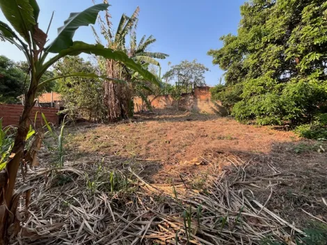 imagem 1 - Terreno - Padrão imagem 1 - Terreno - Padrão