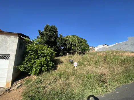 imagem 3 - Terreno - Padrão imagem 3 - Terreno - Padrão
