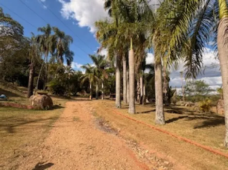 Sao joao da boa vista Capituva Rural Venda R$3.500.000,00 4 Dormitorios  Area do terreno 190938.00m2 